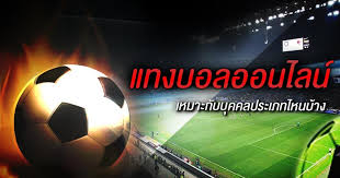 แทงบอล