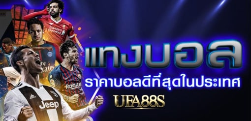 แทงบอลเว็บไม่โกง